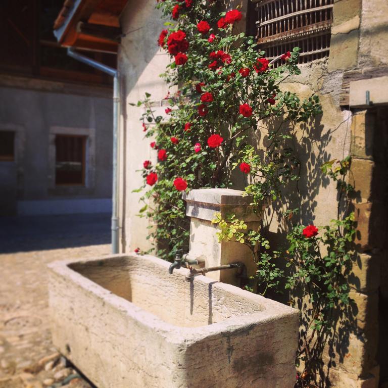 La Ferme Du Lignon Hotel Vernier Екстериор снимка